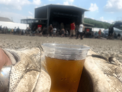 Beers and Punk